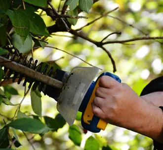 taille-de-haie-et-d-arbre-93-2